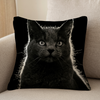 Portrait Black And White Cat Cushion Covers