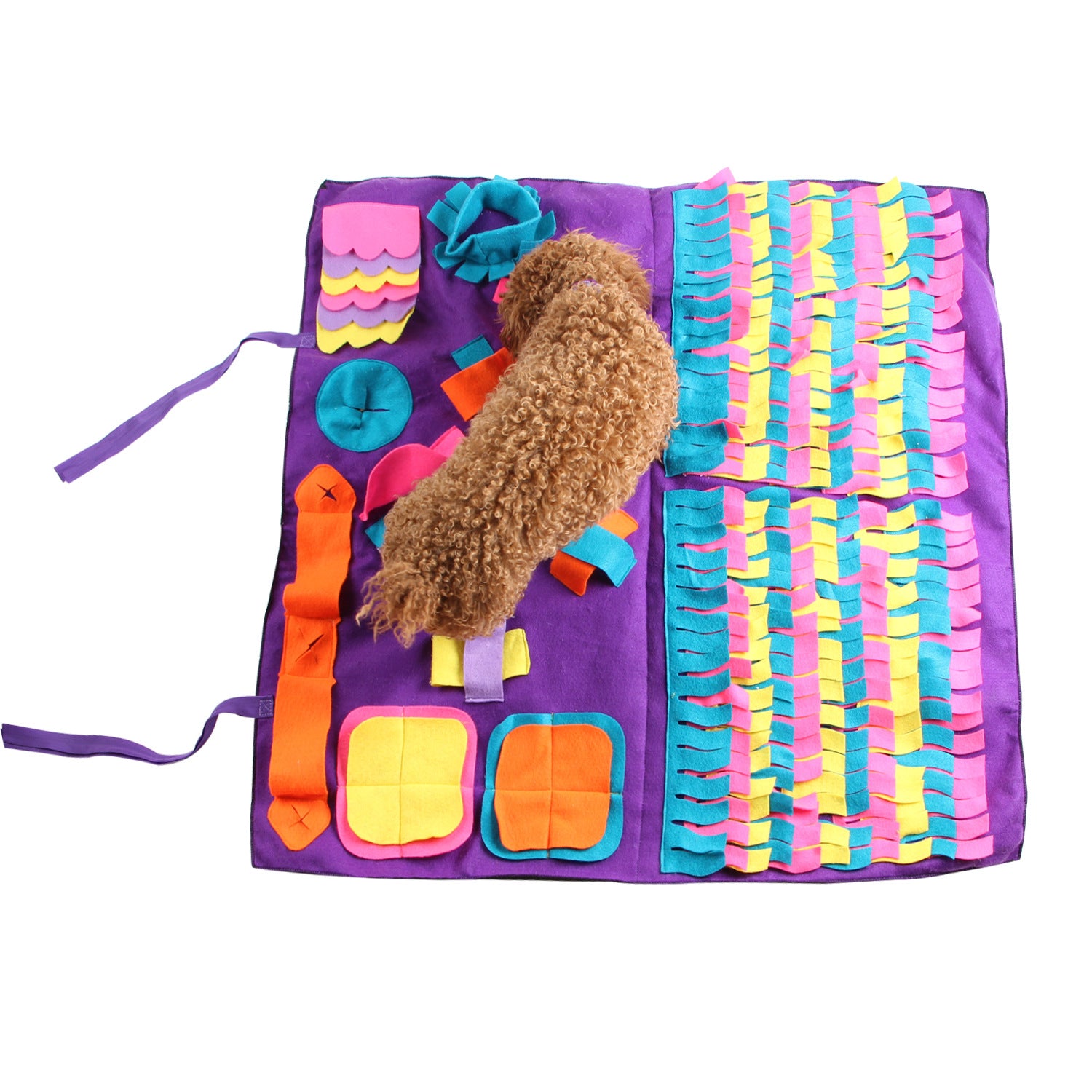 PetsFanClub™ Pet Sniffing Puzzle Toy Mat - Closing Sale