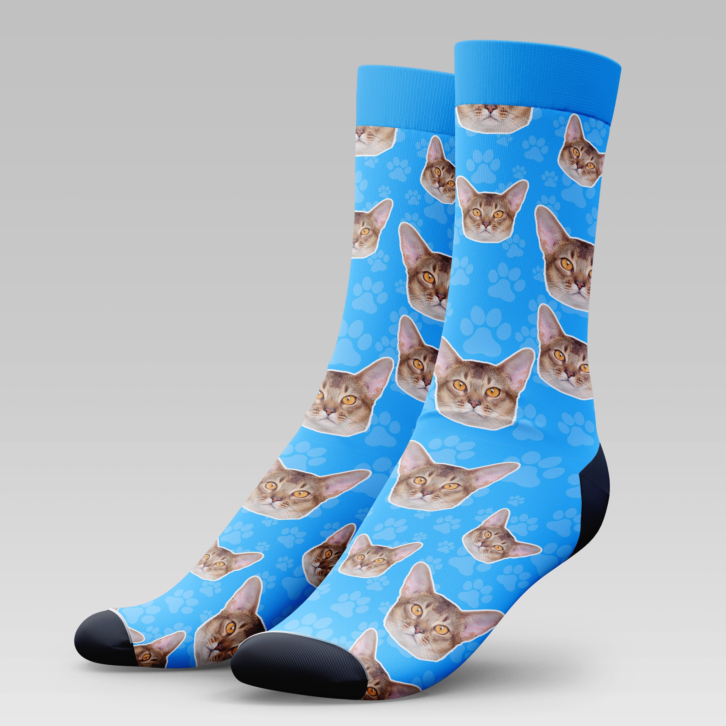 Abyssinian Cat | Socks