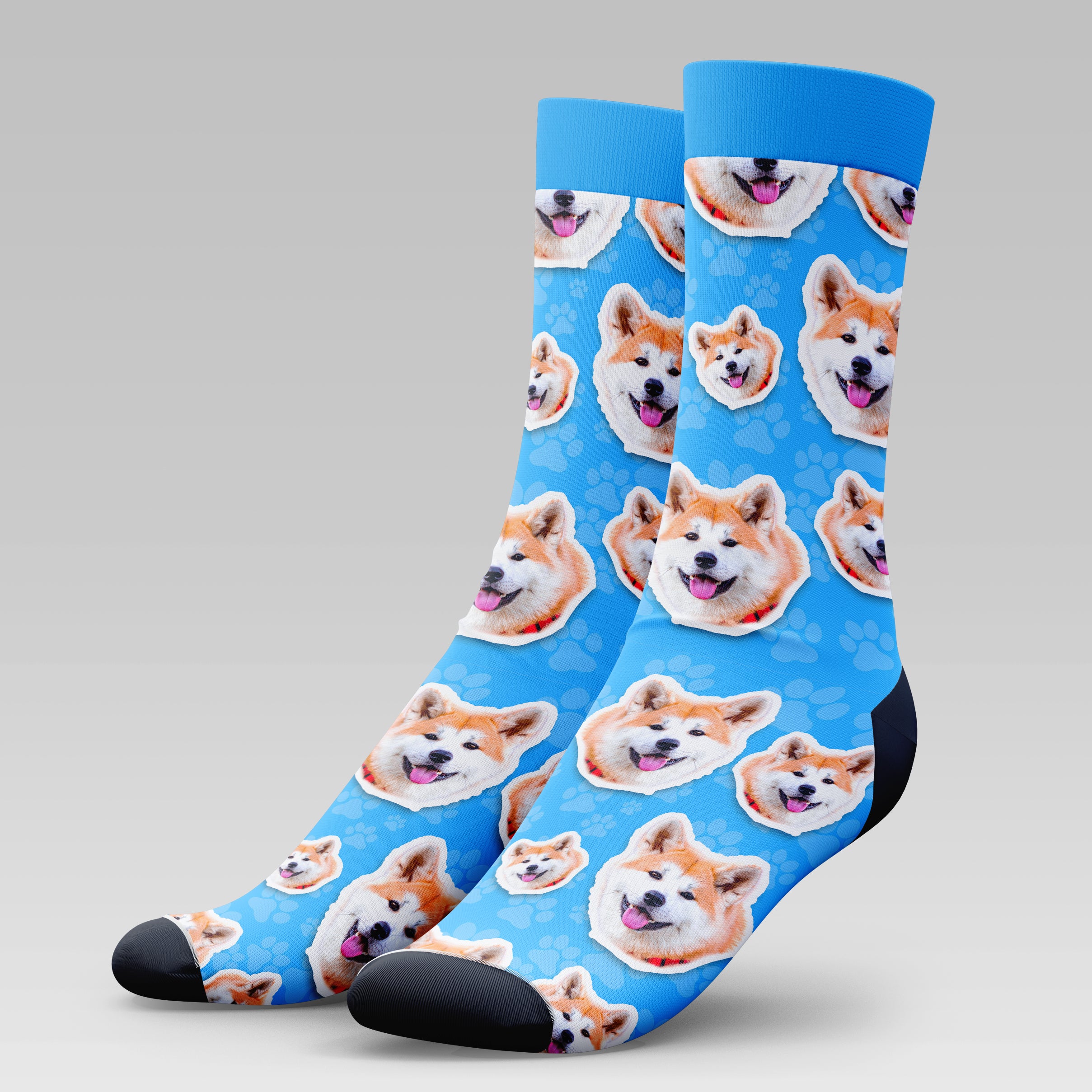 Akita Dog | Socks