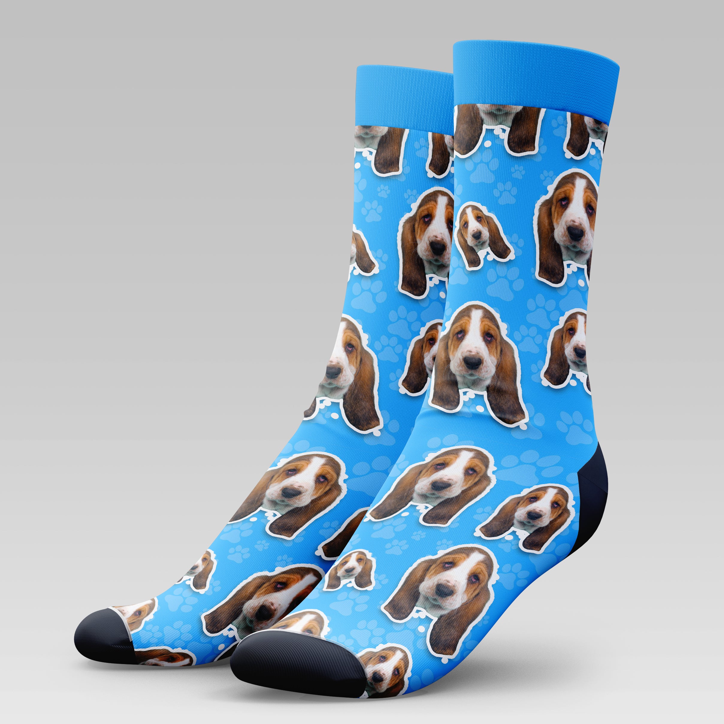 Basset Hound Dog | Socks