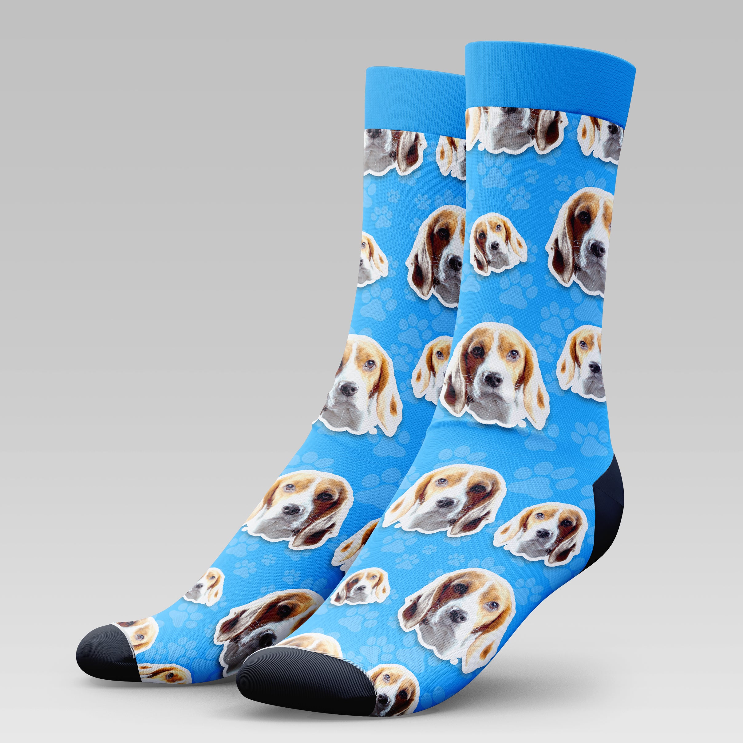 Beagle Dog | Socks