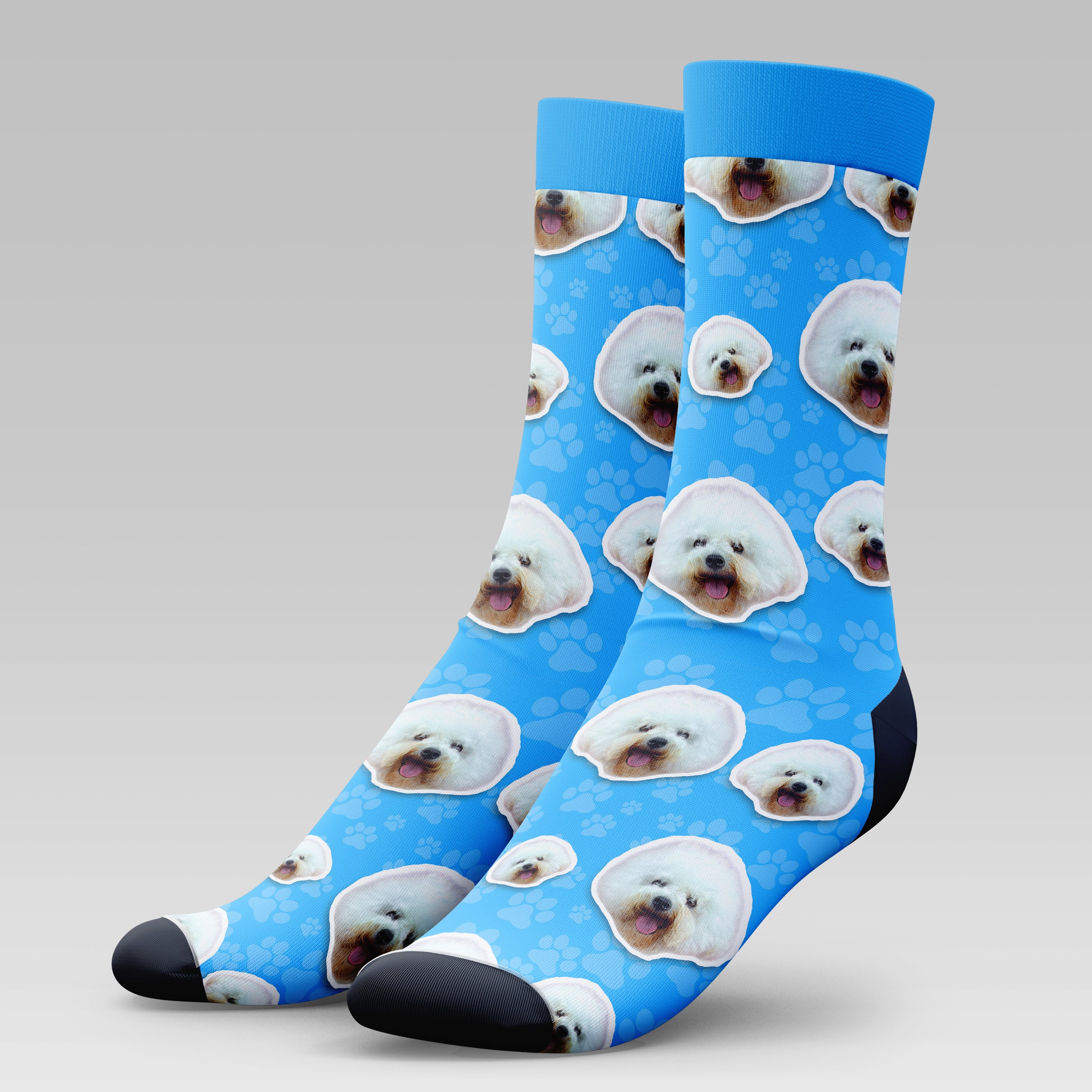 Bichon Frise Dog | Socks