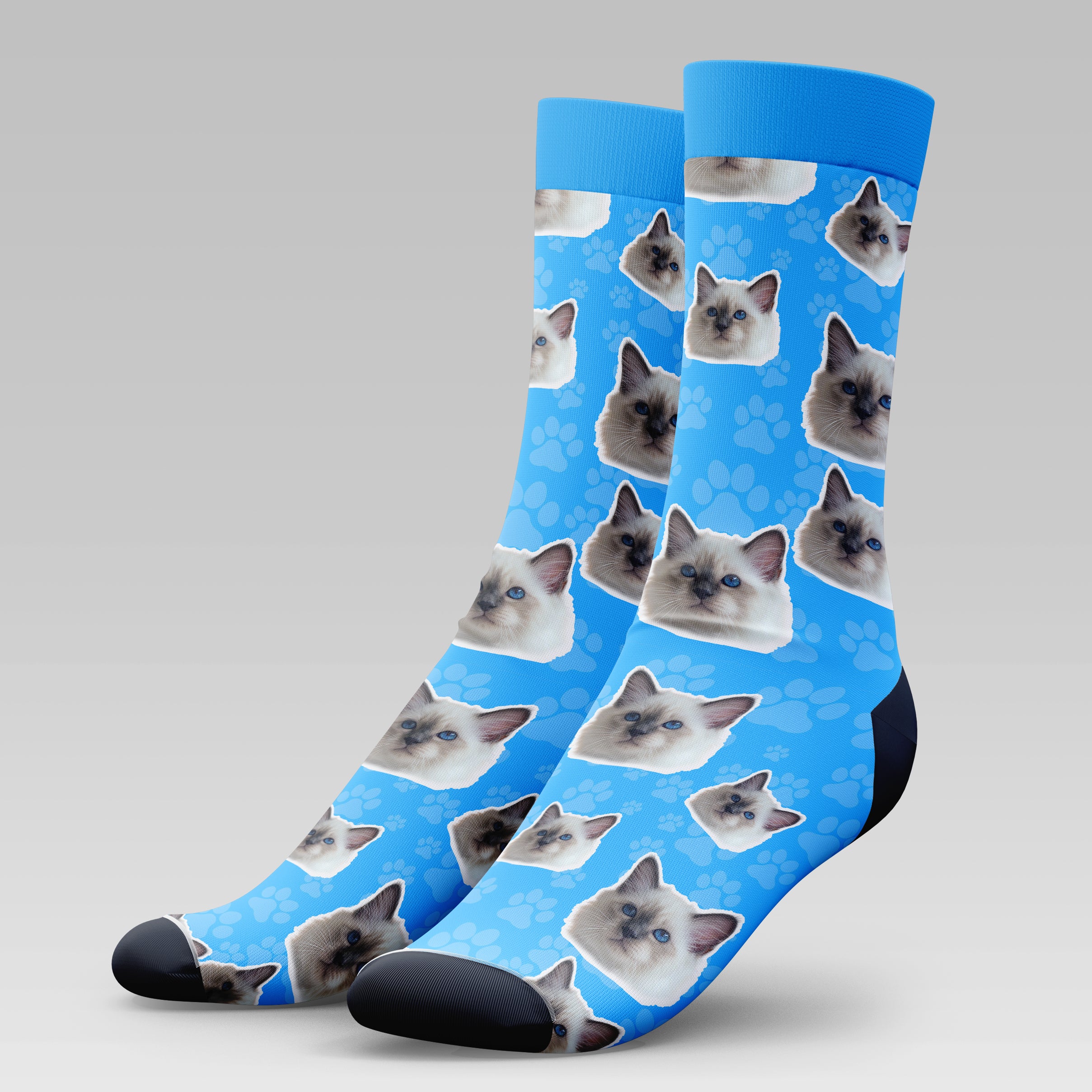 Birman Cat | Socks