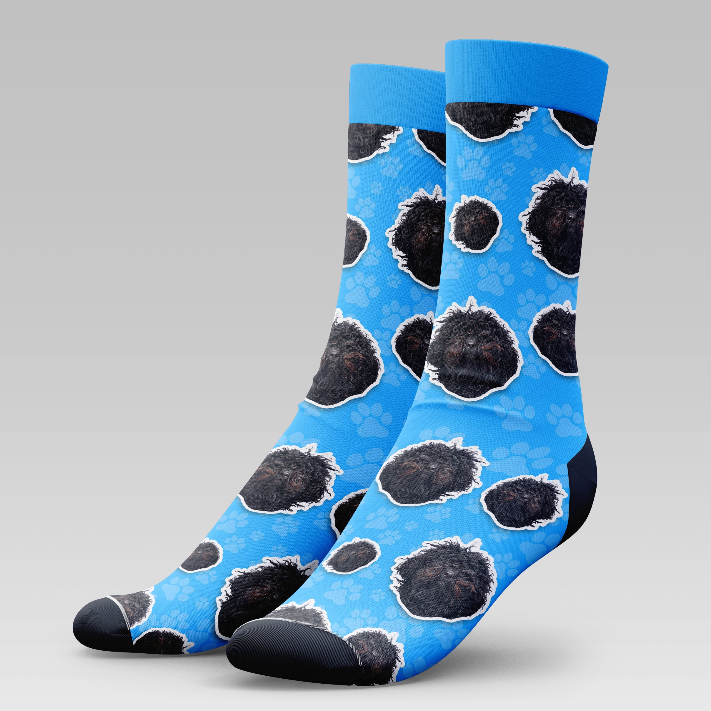 Black Poodle Dog | Socks