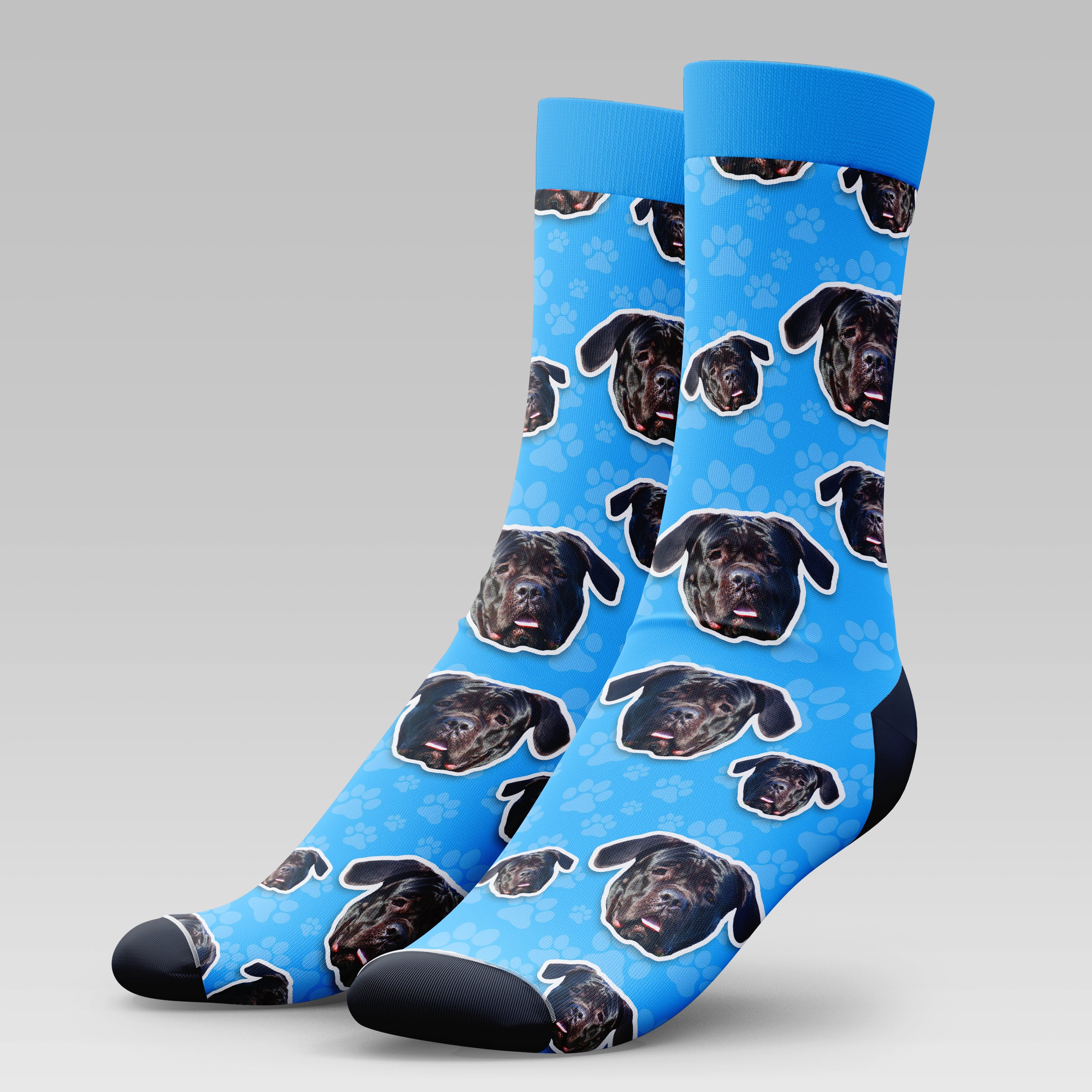 Cane Corso Dog | Socks