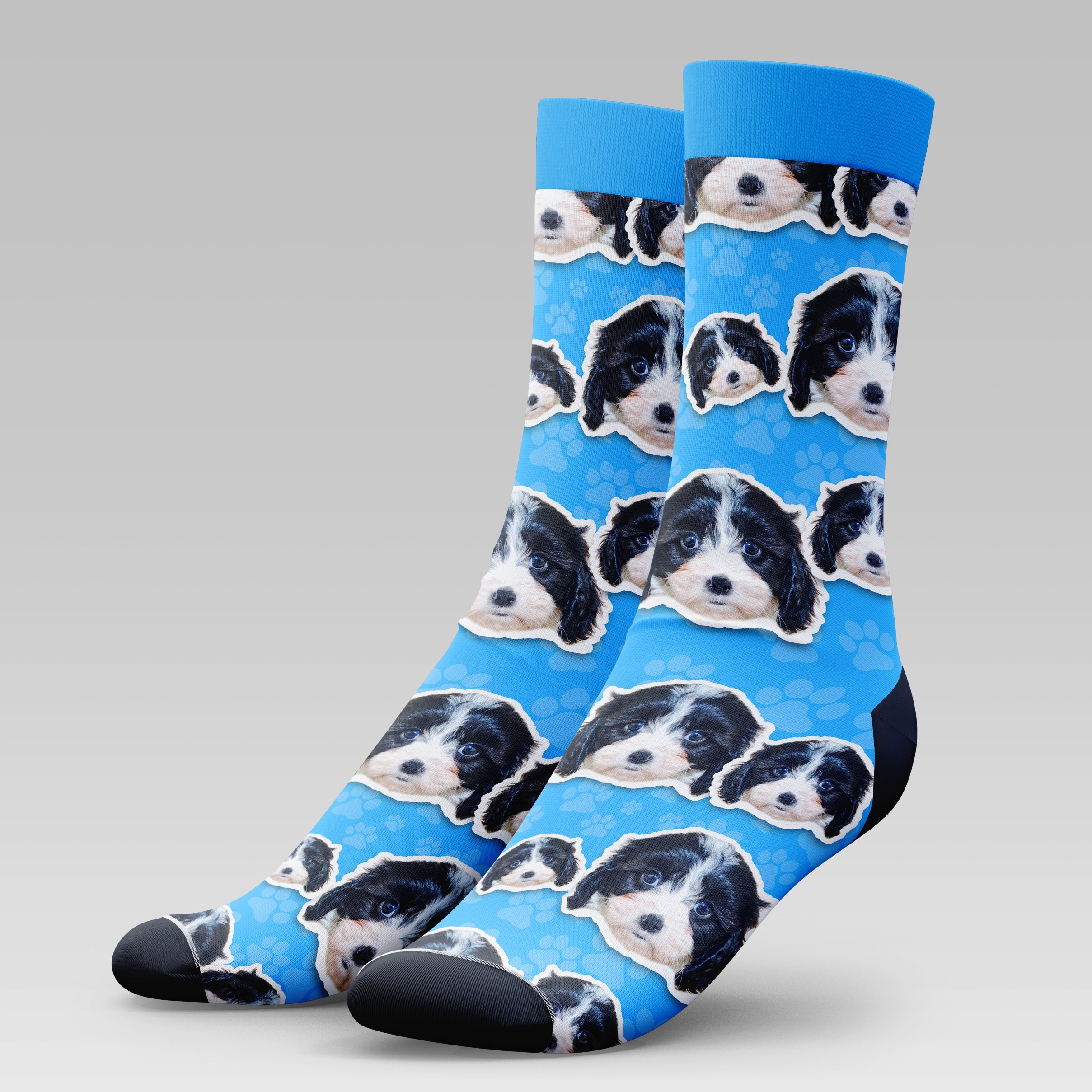 Cavachon Dog | Socks