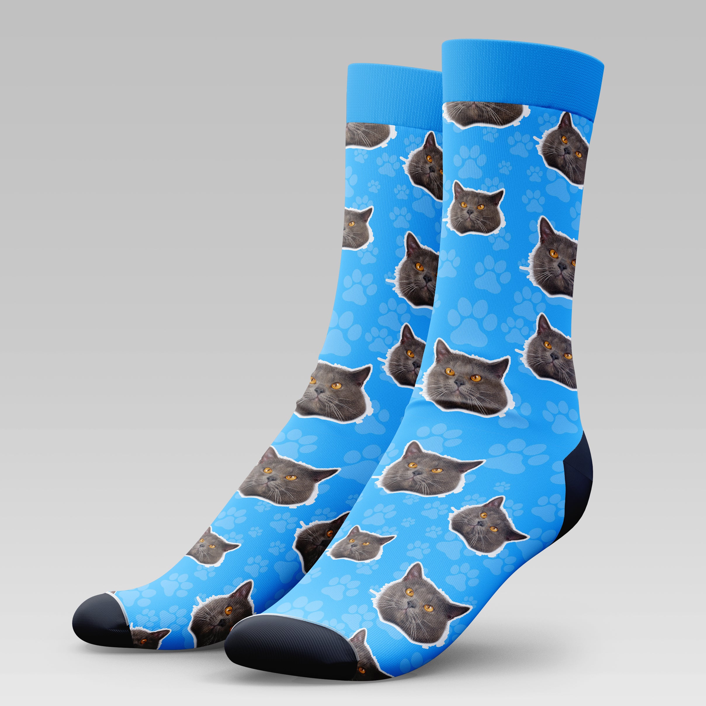 Chartreux Cat | Socks