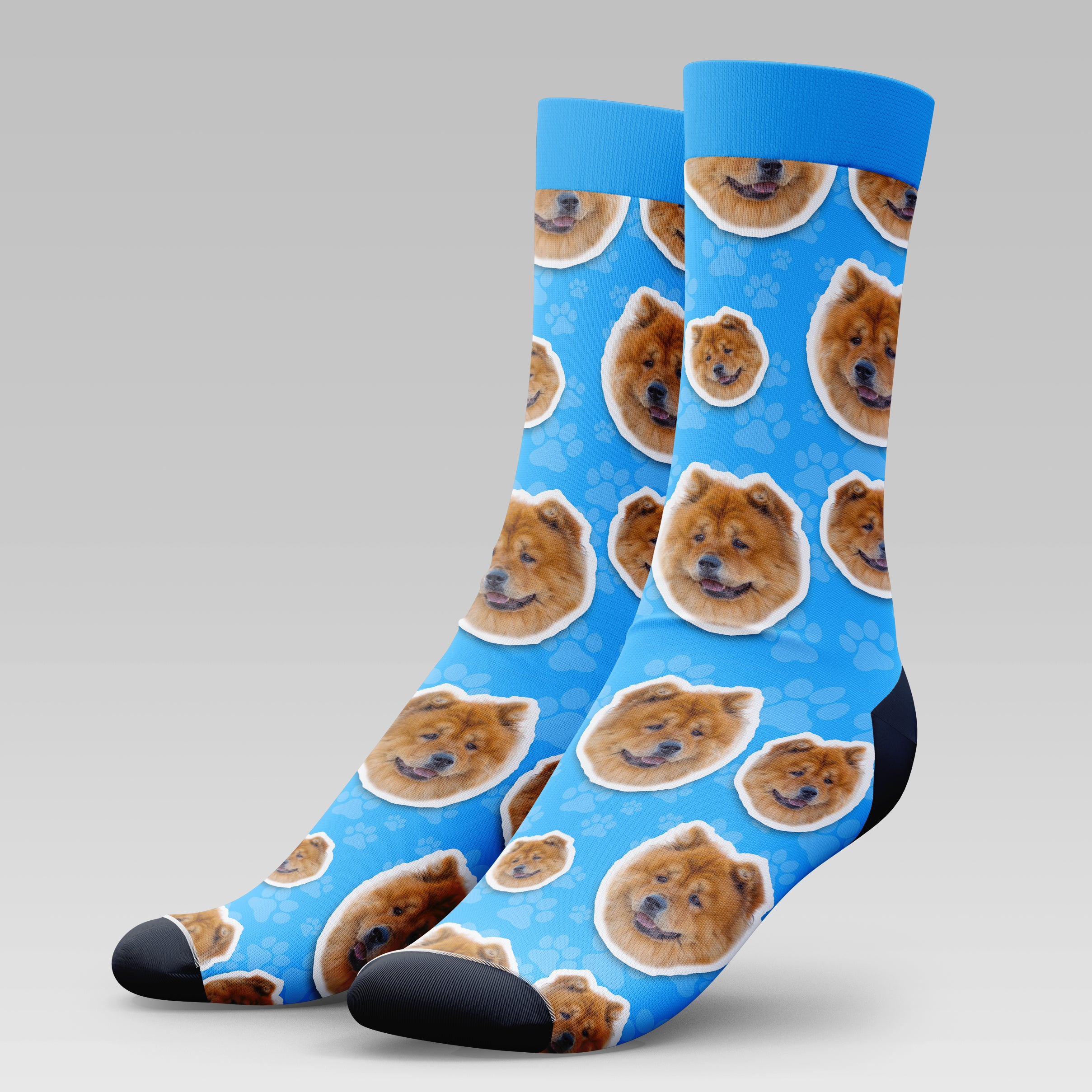 Chow Chow Dog | Socks