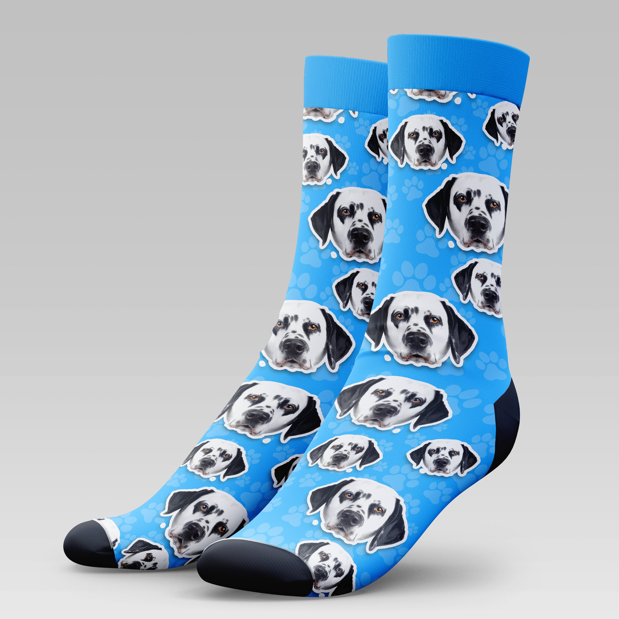 Dalmatian Dog | Socks