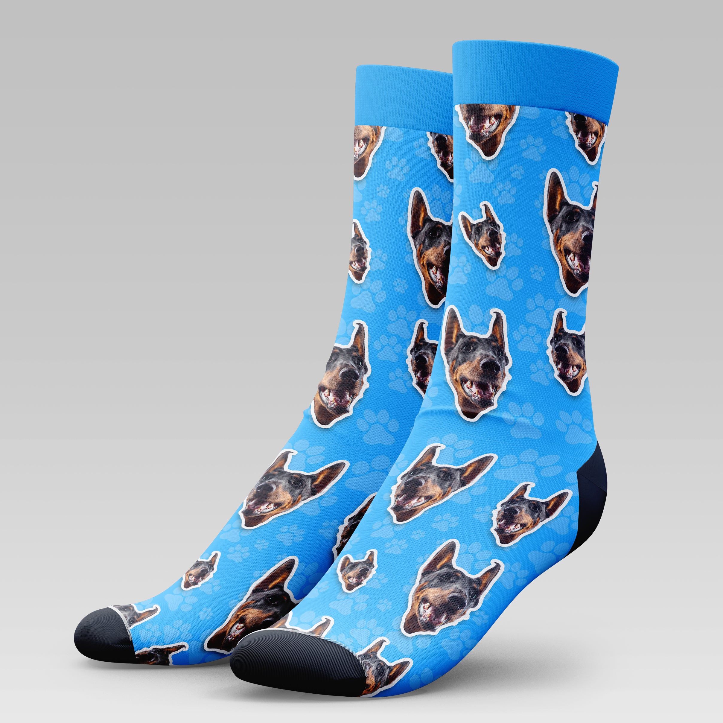 Doberman Dog | Socks