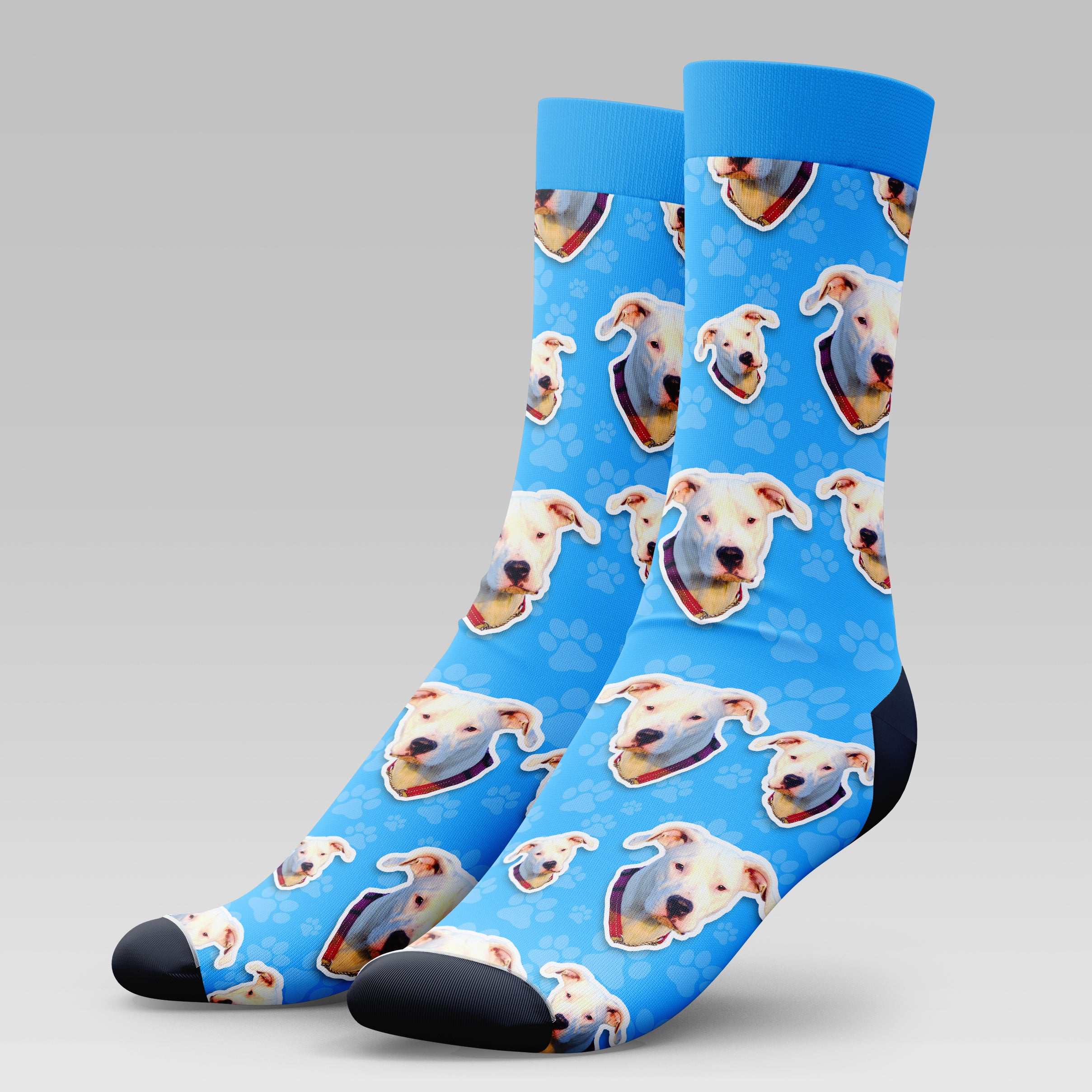 Dogo Argentinoes Dog | Socks