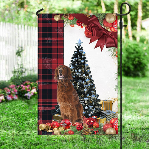 Red Setter Flag Sitting In Front Of The Christmas Tree