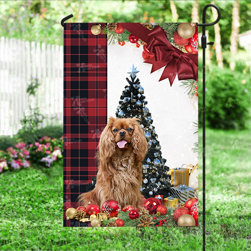 Cavalier King Charles Spaniel Flag Sitting In Front Of The Christmas Tree