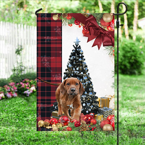 Rhodesian Ridgeback Flag Sitting In Front Of The Christmas Tree