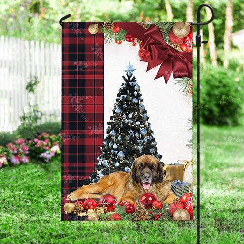 Leonberger Flag Sitting In Front Of The Christmas Tree