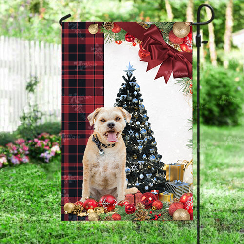 Border Terrier Flag Sitting In Front Of The Christmas Tree