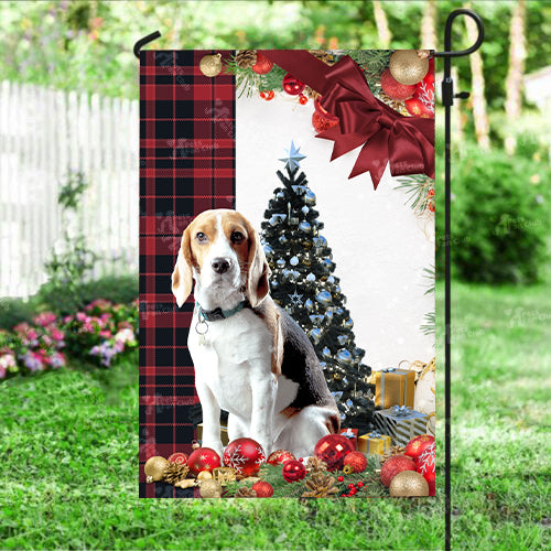 Beagle Flag Sitting In Front Of The Christmas Tree