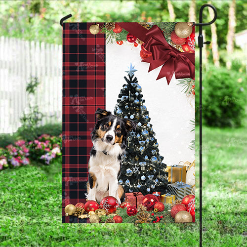 Border Collie Flag Sitting In Front Of The Christmas Tree