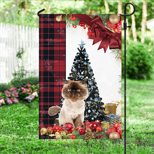 Himalayan Cat Flag Sitting In Front Of The Christmas Tree