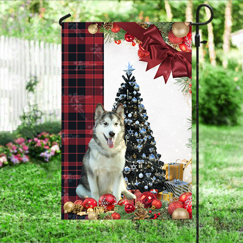 Alaskan Malamute Flag Sitting In Front Of The Christmas Tree