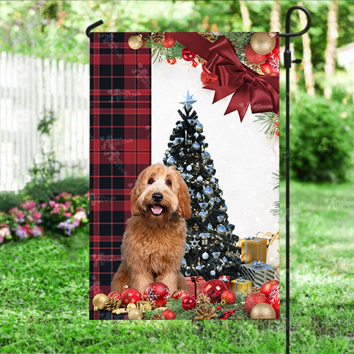 Labradoodle Flag Sitting In Front Of The Christmas Tree