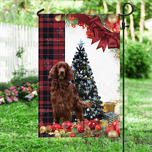 Irish Setter Flag Sitting In Front Of The Christmas Tree