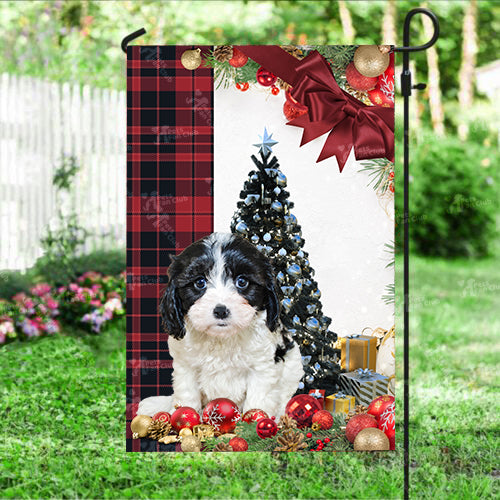 Cavachon Flag Sitting In Front Of The Christmas Tree