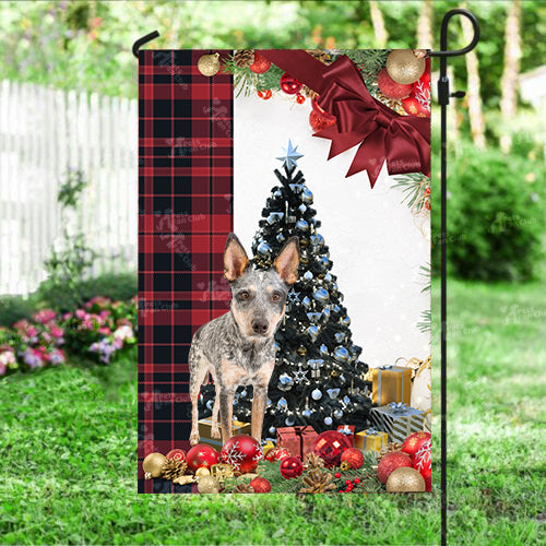 Blue Heeler Flag Sitting In Front Of The Christmas Tree