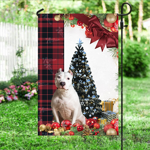 American Bully Flag Sitting In Front Of The Christmas Tree