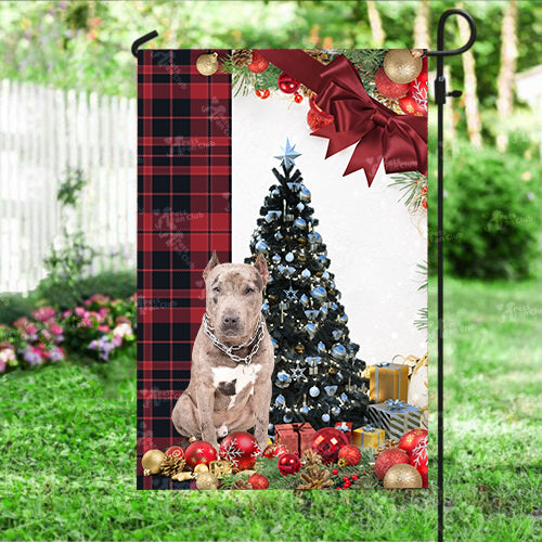 Pit Bull Flag Sitting In Front Of The Christmas Tree