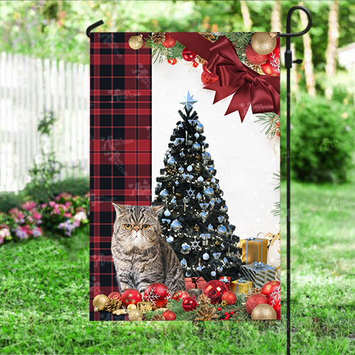 Exotic Shorthair Cat Flag Sitting In Front Of The Christmas Tree