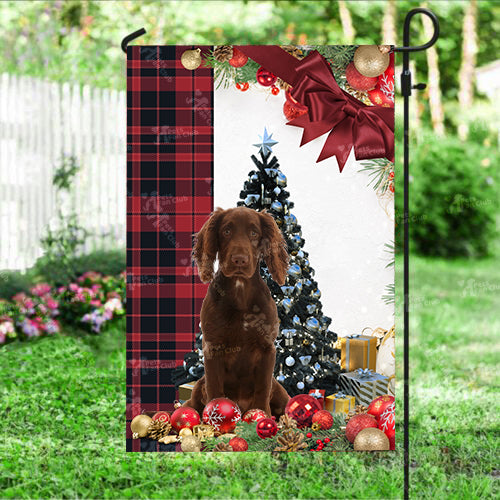 Working Cocker Spaniel Flag Sitting In Front Of The Christmas Tree