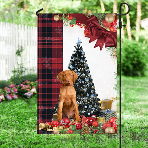 Vizsla Flag Sitting In Front Of The Christmas Tree