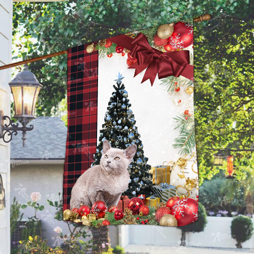 European Burmese Cat Flag Sitting In Front Of The Christmas Tree