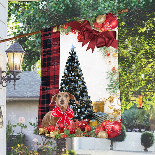 Daschund Flag Sitting In Front Of The Christmas Tree