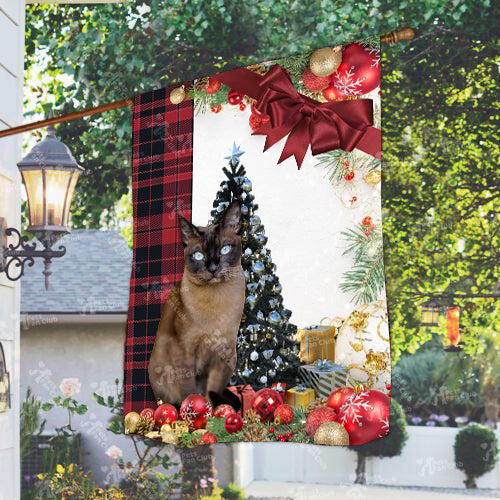 Tonkinese Cat Flag Sitting In Front Of The Christmas Tree