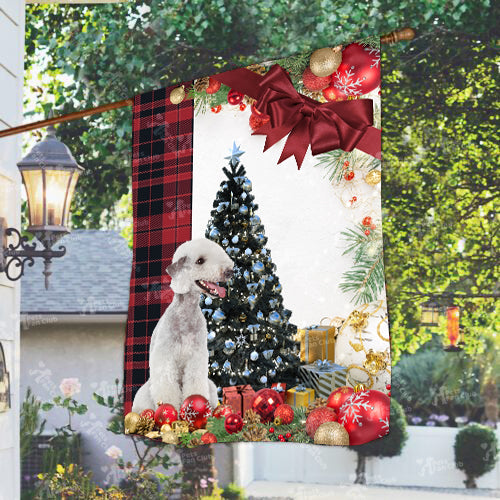 Bedlington Flag Sitting In Front Of The Christmas Tree