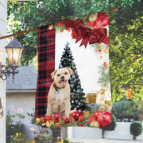 Border Terrier Flag Sitting In Front Of The Christmas Tree