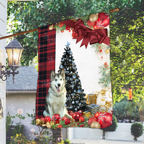 Alaskan Malamute Flag Sitting In Front Of The Christmas Tree