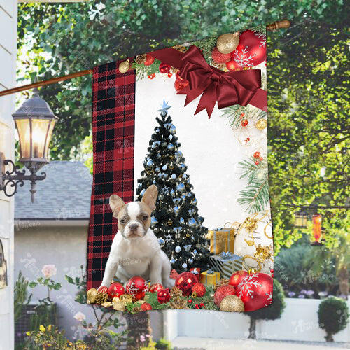 Frenchie Flag Sitting In Front Of The Christmas Tree