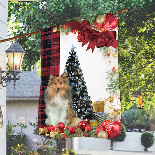 Sheltie Flag Sitting In Front Of The Christmas Tree