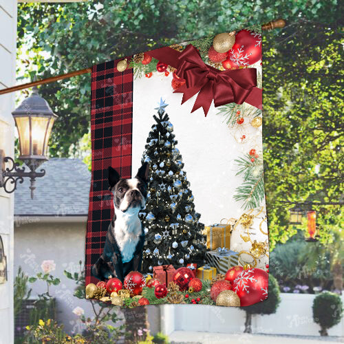 Boston Terrier Flag Sitting In Front Of The Christmas Tree