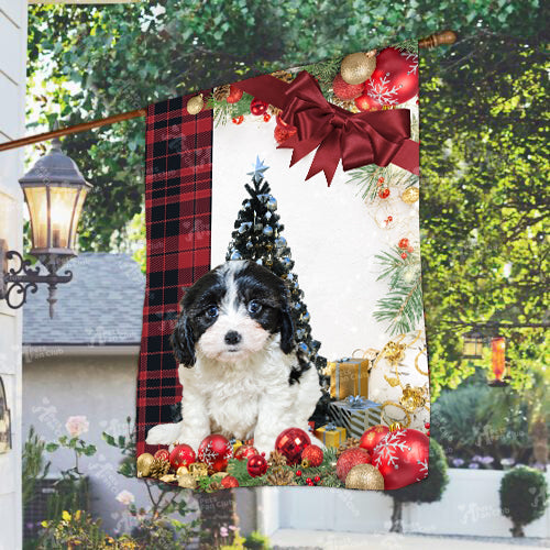 Cavachon Flag Sitting In Front Of The Christmas Tree