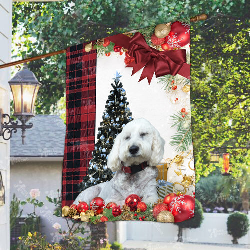 Groodle Flag Sitting In Front Of The Christmas Tree