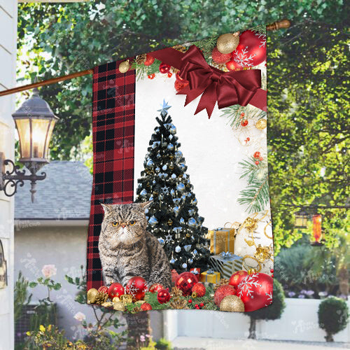 Exotic Shorthair Cat Flag Sitting In Front Of The Christmas Tree