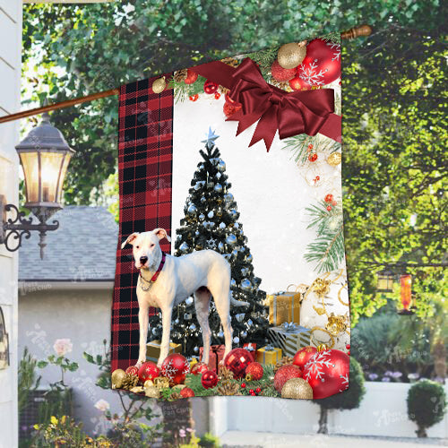 Dogo Argentinoes Flag Sitting In Front Of The Christmas Tree