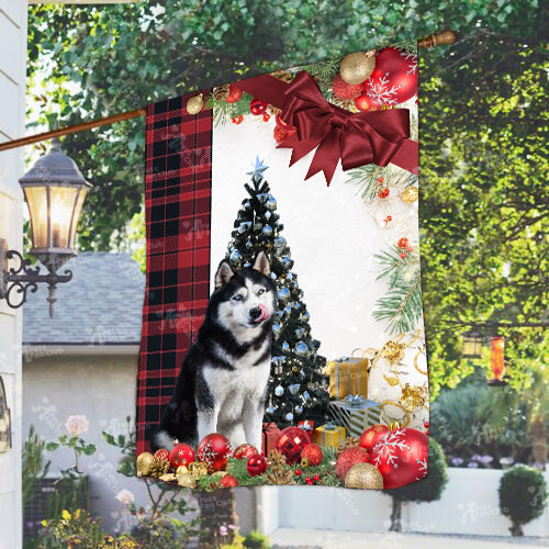 Husky Flag Sitting In Front Of The Christmas Tree