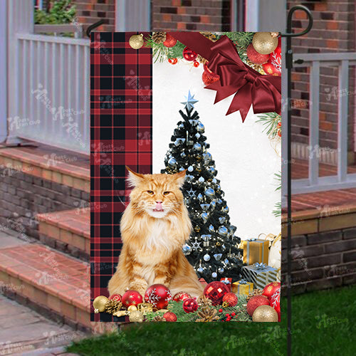 Maine Coon Cat Flag Sitting In Front Of The Christmas Tree