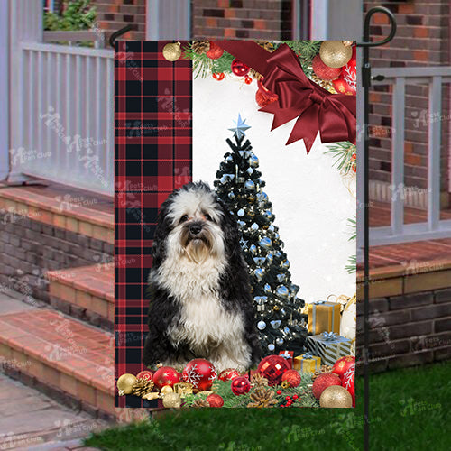 Havaneser Flag Sitting In Front Of The Christmas Tree